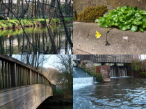 muehlenweg
